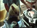 DJをする犬